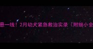 细小命悬一线2月幼犬紧急救治实录附细小全攻略