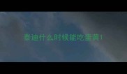 泰迪什么时候能吃蛋黄