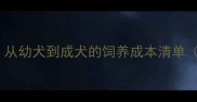 边牧价格全从幼犬到成犬的饲养成本清单附避坑指南