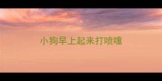 小狗早上起来打喷嚏