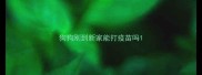 狗狗刚到新家能打疫苗吗