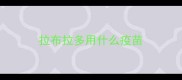 拉布拉多用什么疫苗