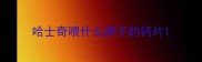 哈士奇喂什么牌子的钙片