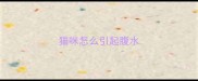 猫咪怎么引起腹水