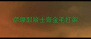 萨摩耶哈士奇金毛打架