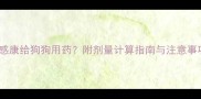 如何科学使用惠中感康给狗狗用药附剂量计算指南与注意事项附真实案例