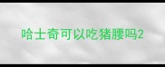 哈士奇可以吃猪腰吗