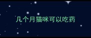 几个月猫咪可以吃药