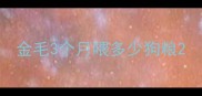 金毛3个月喂多少狗粮