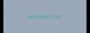 哈士奇母幼犬价格