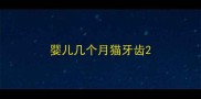 婴儿几个月猫牙齿