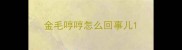 金毛哼哼怎么回事儿