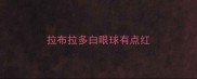 拉布拉多白眼球有点红