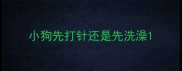 小狗先打针还是先洗澡