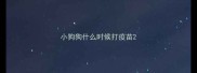 小狗狗什么时候打疫苗