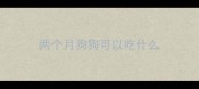 两个月狗狗可以吃什么
