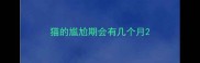 猫的尴尬期会有几个月