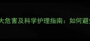 边牧不洗澡的五大危害及科学护理指南如何避免宠物健康隐患