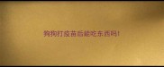 狗狗打疫苗后能吃东西吗