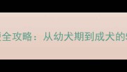 教狗狗用坐便全攻略从幼犬期到成犬的5个黄金法则