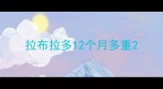 拉布拉多12个月多重