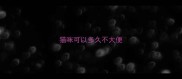 猫咪可以多久不大便