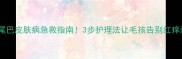 金毛尾巴皮肤病急救指南3步护理法让毛孩告别红痒溃烂