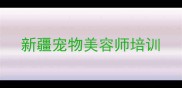 新疆宠物美容师培训