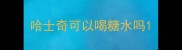 哈士奇可以喝糖水吗