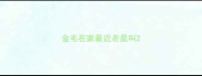 金毛在家最近老是叫