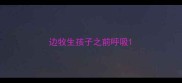 边牧生孩子之前呼吸