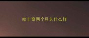 哈士奇两个月长什么样