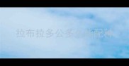 拉布拉多公多久能配种