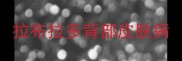 拉布拉多背部皮肤病