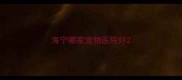 海宁哪家宠物医院好
