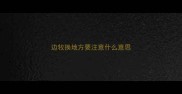 边牧换地方要注意什么意思