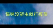 猫咪没驱虫就打疫苗