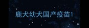 鹿犬幼犬国产疫苗
