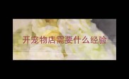开宠物店需要什么经验