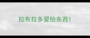 拉布拉多爱抬东西
