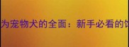 金毛犬作为宠物犬的全面新手必看的饲养指南