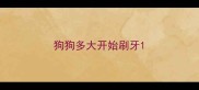 狗狗多大开始刷牙