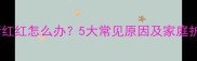小狗眼睛红红怎么办5大常见原因及家庭护理指南