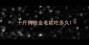 十斤狗粮金毛能吃多久