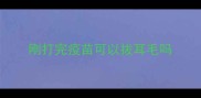 刚打完疫苗可以拔耳毛吗