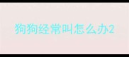 狗狗经常叫怎么办