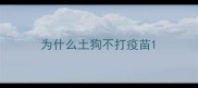 为什么土狗不打疫苗