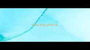 拉布拉多有白色鼻子吗