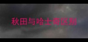 秋田与哈士奇区别