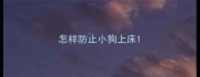 怎样防止小狗上床